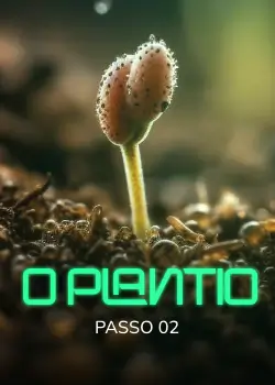 PASSO 02 (1)