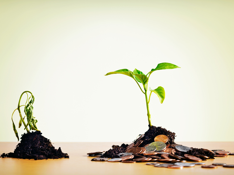 vale a pena investir em ações com pouco dinheiro estratégias