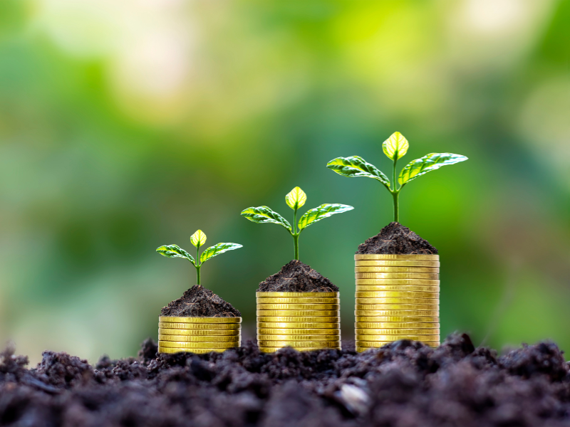 vale a pena investir em ações com pouco dinheiro finanças