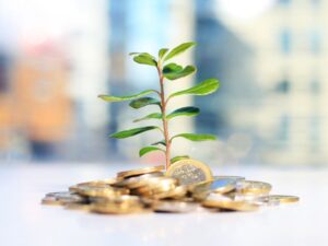 como ganhar dinheiro com investimentos